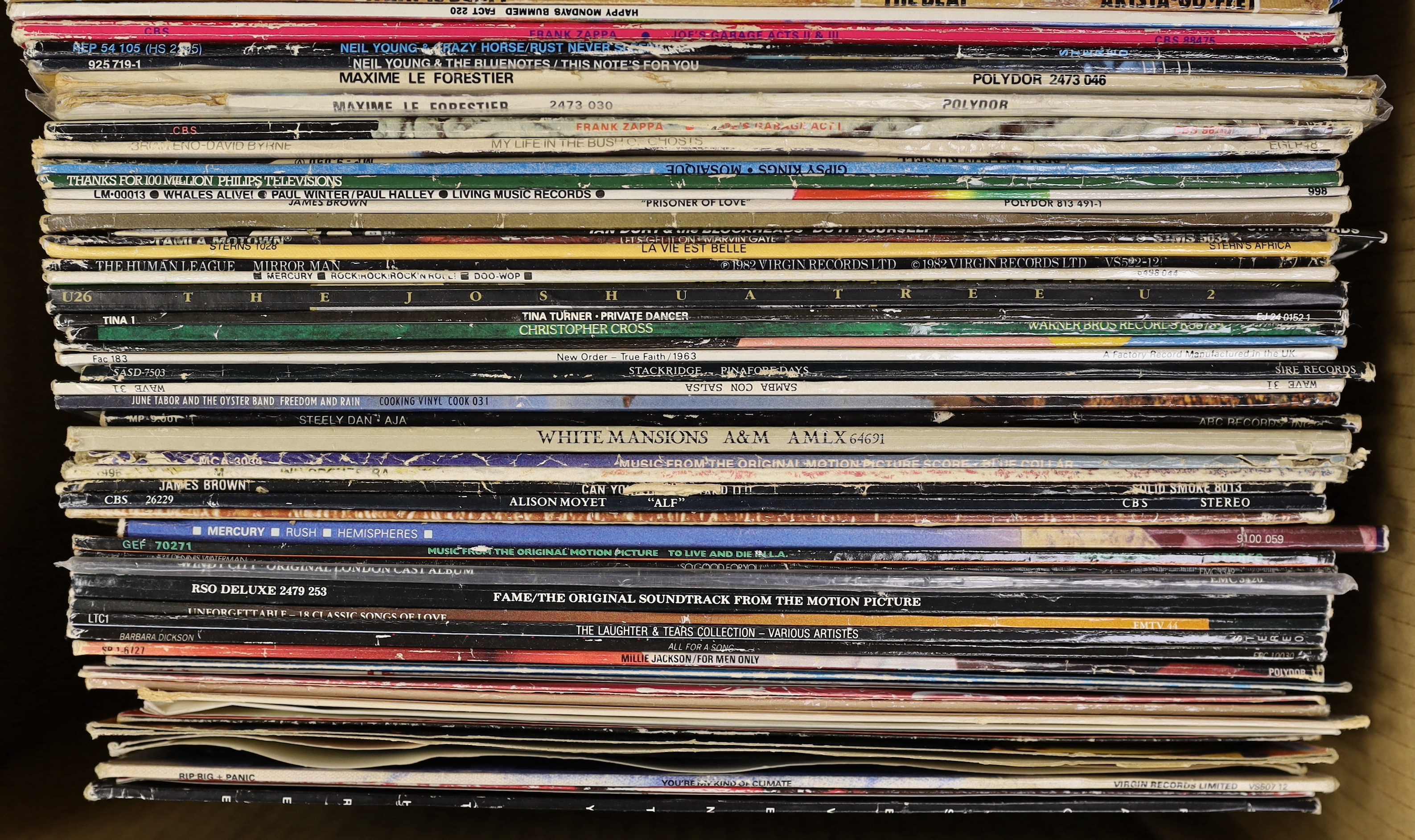 Seventy mostly 1980's LPs, including Blondie, Joan Armatrading, Texas, Happy Mondays, Neil Young and crazy horse, Ian Dury and the Blockheads, Tina Turner, James Brown, etc.